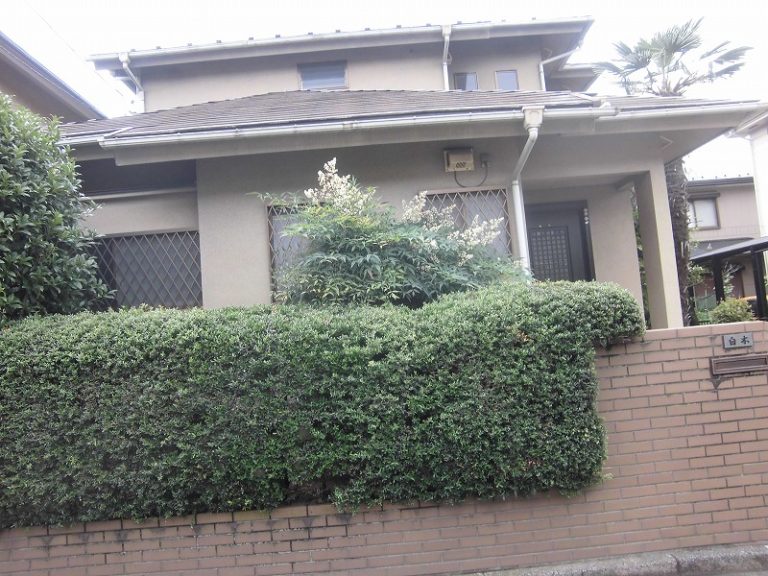 屋根(ストレート瓦)苔の発生