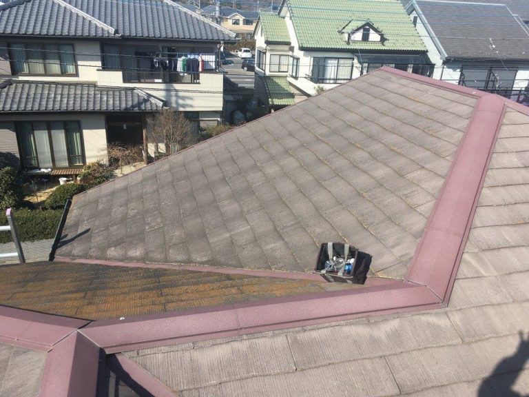 全景