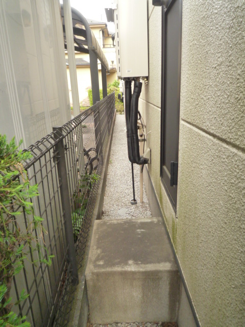苔の発生