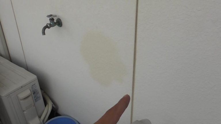 外壁お水吸水