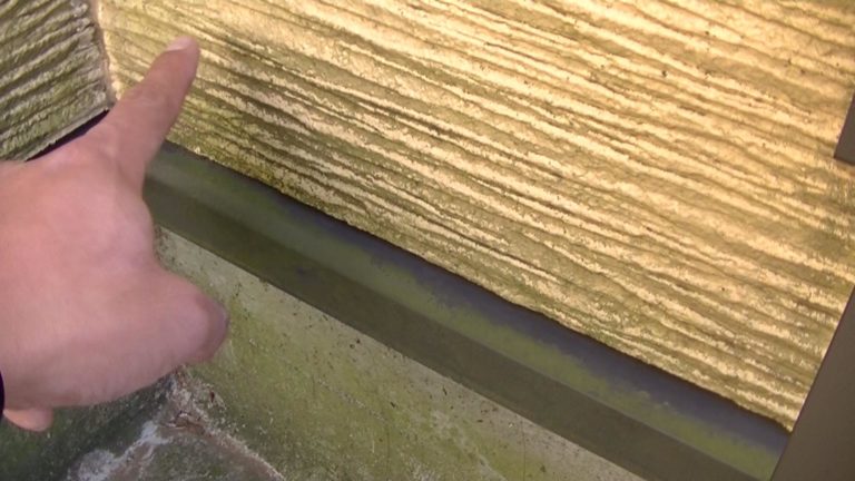表面に苔があると水分を含みやすく劣化を促進させます