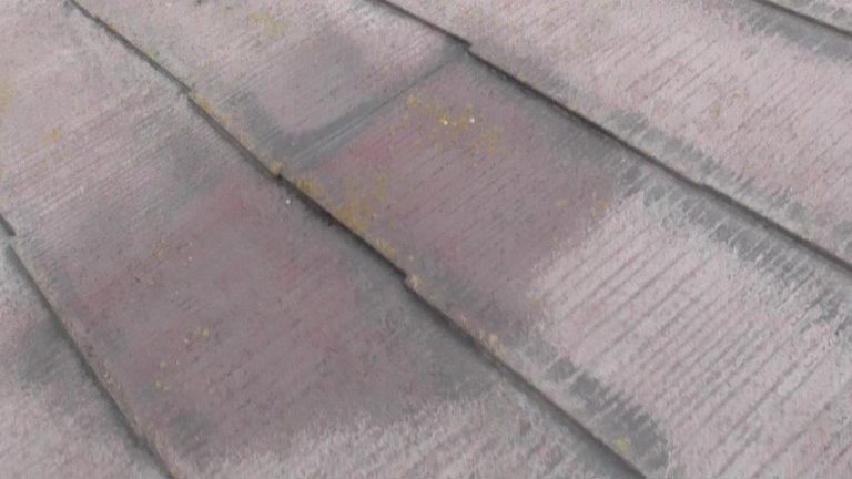 吸水