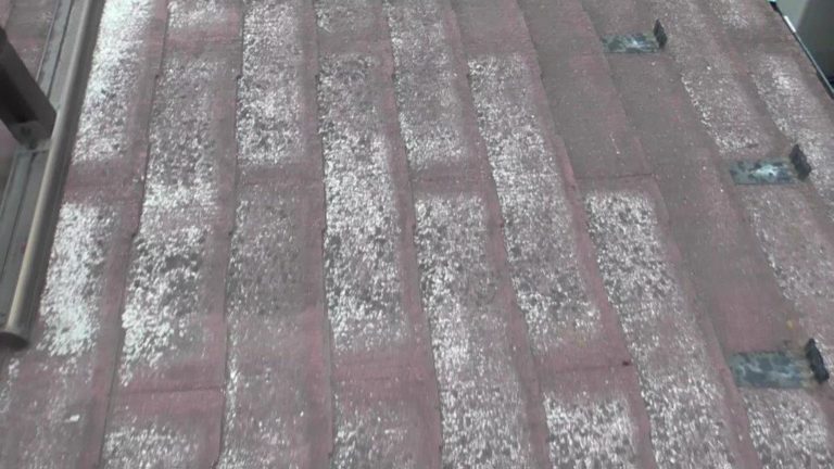 素地露出