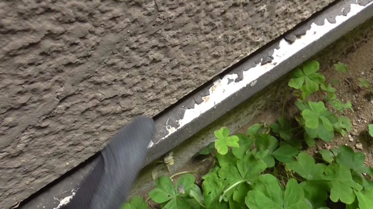 水切板金の塗膜が剥れています