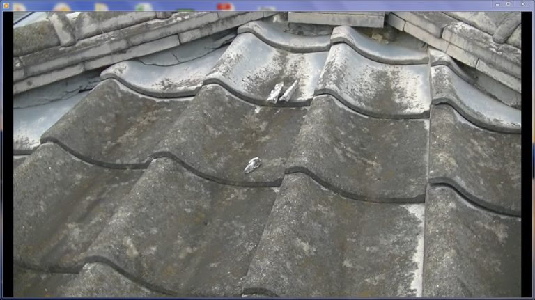 セメント瓦塗膜防水切れ