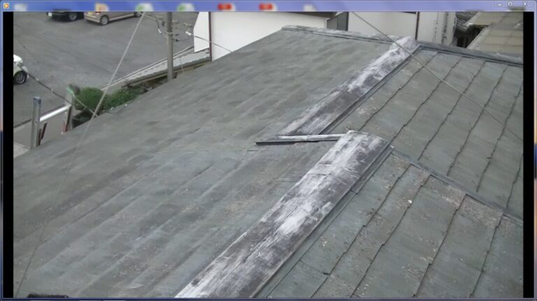 変退色色抜け