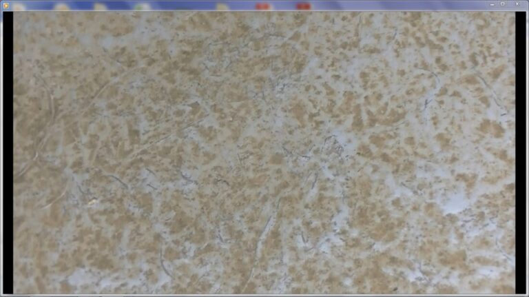 FRPのトップコートが劣化し、防水性能が落ち始めていました。