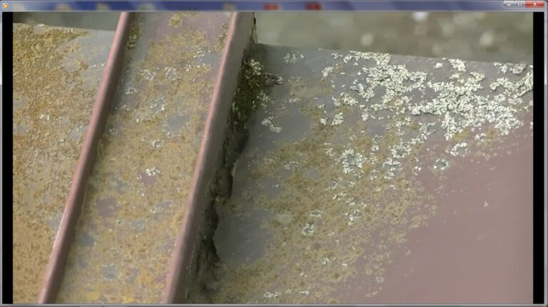 水が溜まりやすい隅には剥離が目立っています。