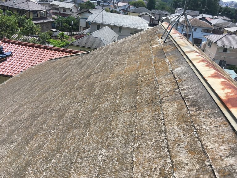 色褪せ・塗膜剥離・苔多数
