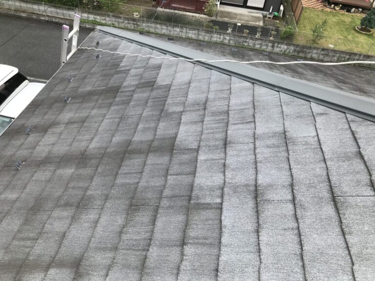 艶無し 苔・カビ