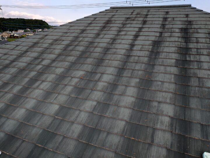 屋根に苔カビが生えている
