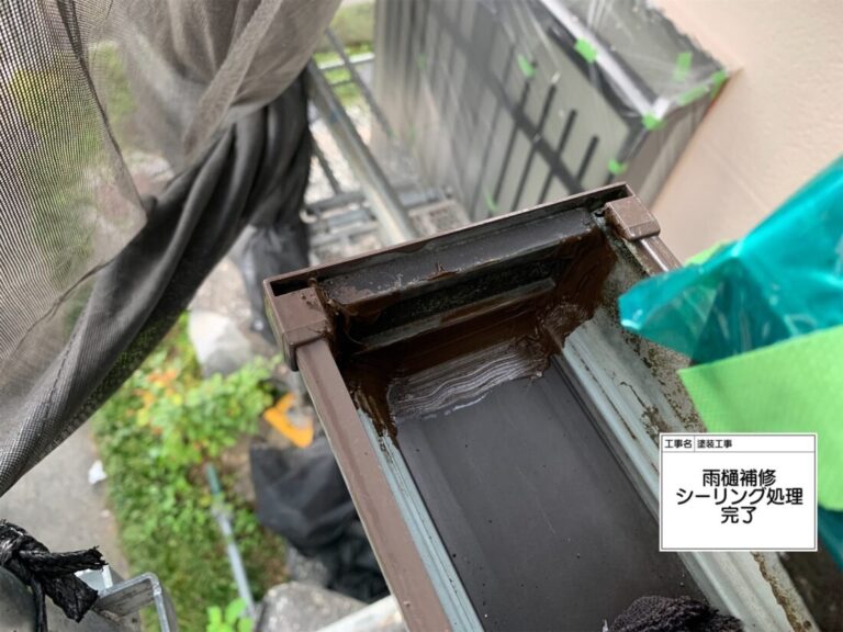 雨樋補修