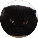 Sho Hira profile picture