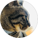 kahorun profile picture